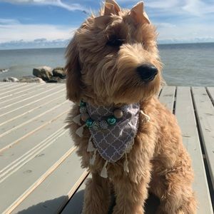 Autumn Bandana | Reversible